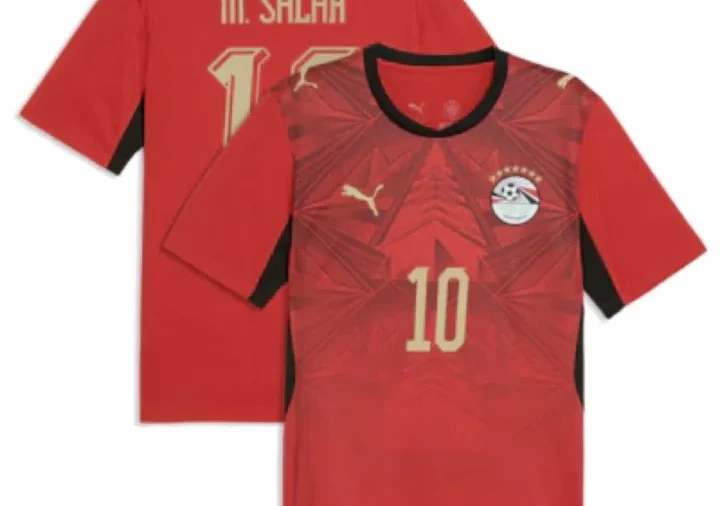 «فيفا» يطلب من منتخب مصر إزالة «نجوم أفريقيا»